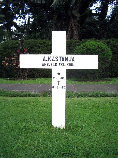 kastanja.a.2005.jpg