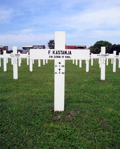 kastanja.f.2005.jpg