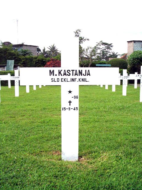 kastanja.m.2005.jpg