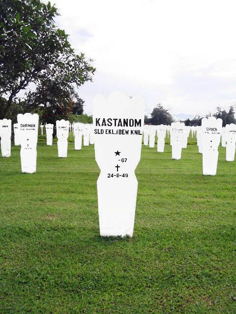 kastanom.2005.jpg