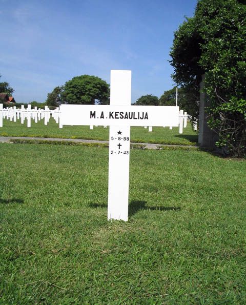 kesaulija.m.a.2005.jpg