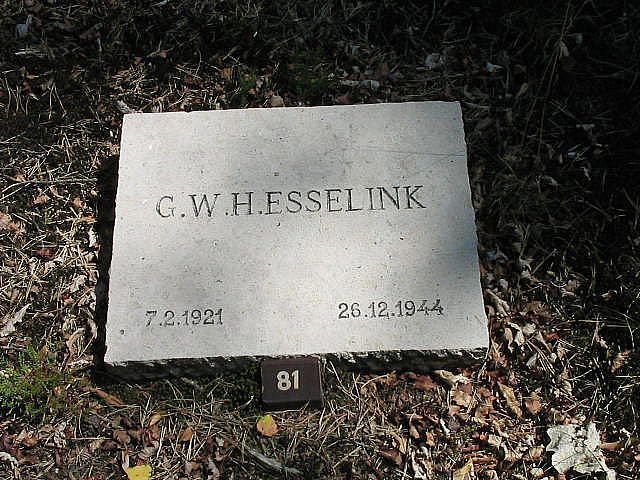G.W.H.Esselink.jpg