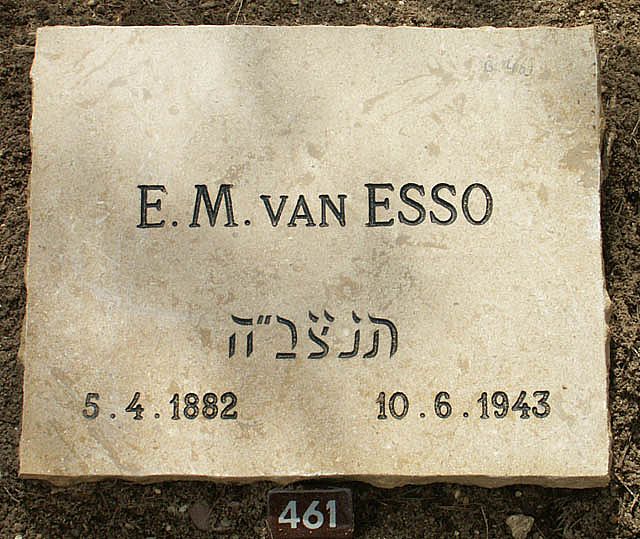 esso.e.m.van.2006.jpg