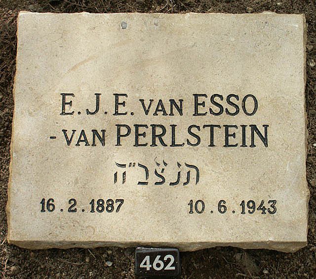 esso-vanperlstein.e.j.e.van.2006.jpg