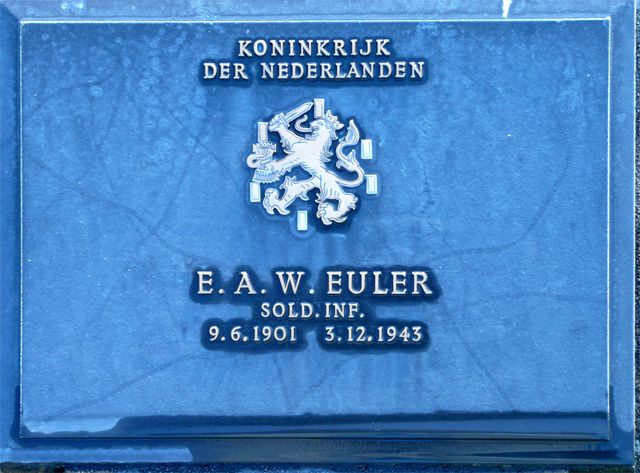 Euler.E.A.W.2008.jpg