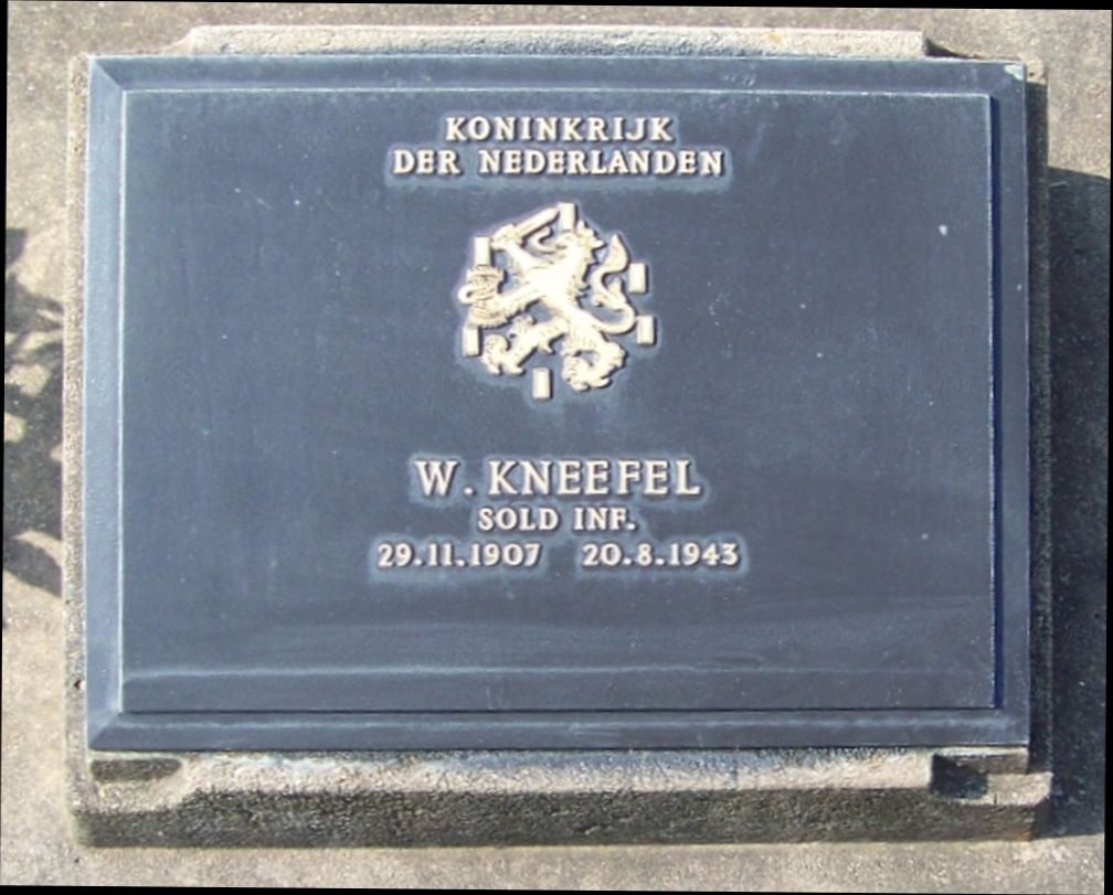 Kneefel W.jpg