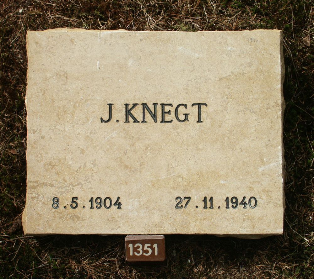 knegt.j.2006.jpg