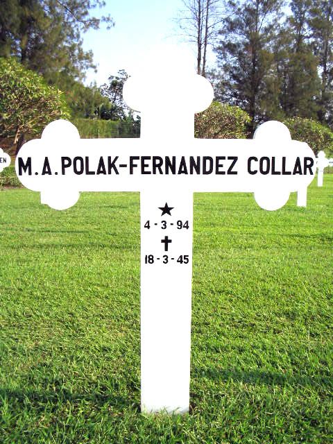 polak.fernandez collar.m.a.2004.jpg.JPG