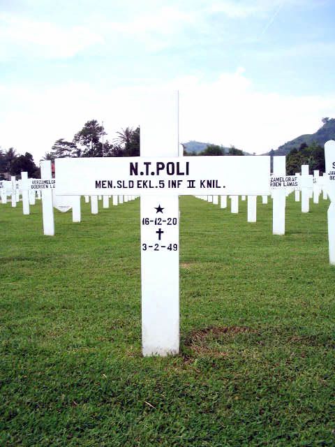 poli.n.t.2005.jpg
