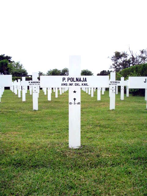 polnaja.p.2005.jpg