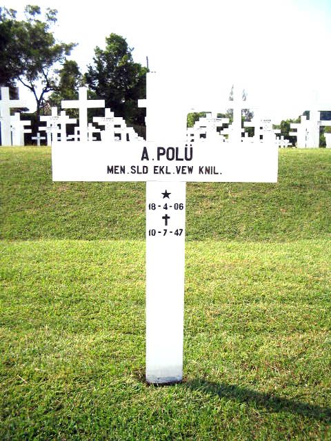 polu.a.2004.jpg.JPG