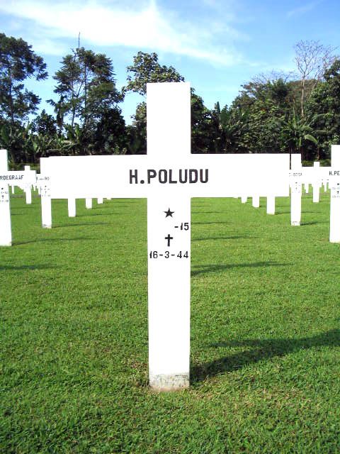 poludu.h.2005.jpg