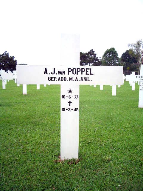 poppel.van.a.j.2005.jpg