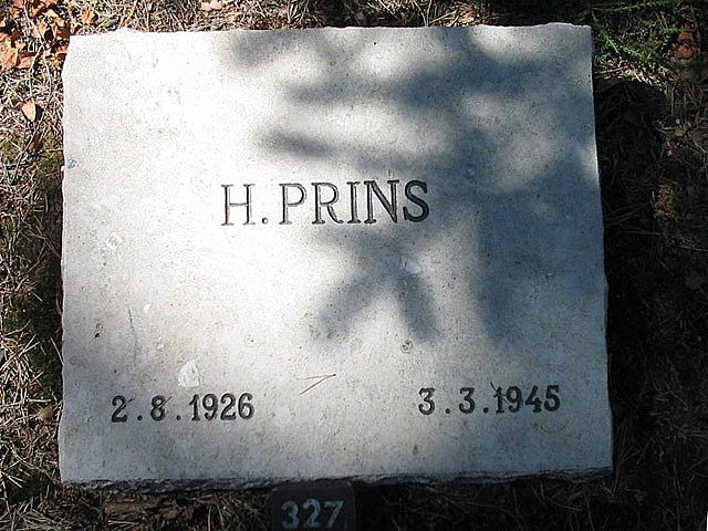 H.Prins.jpg