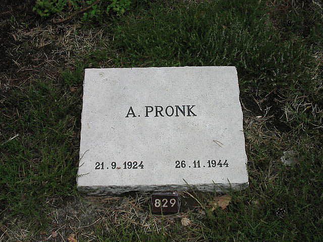 A.Pronk.jpg