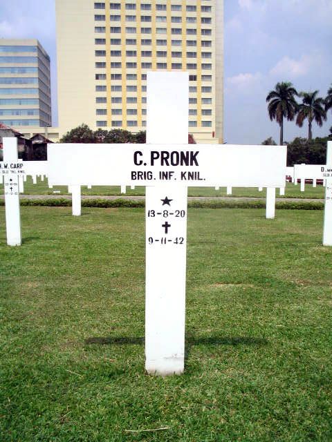pronk.c.2005.jpg