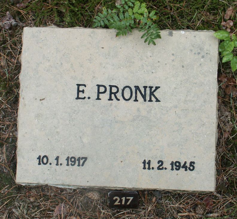 pronk.e.jpg