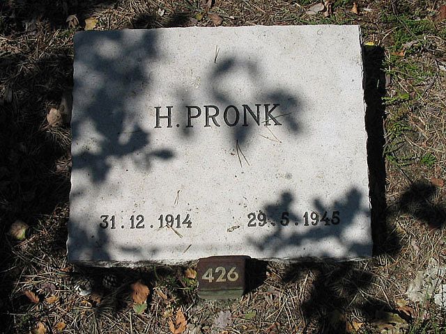 H.Pronk.jpg
