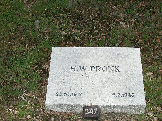 H.W.Pronk.jpg