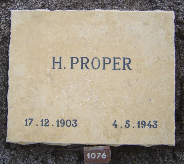 proper.h.2008(1).jpg