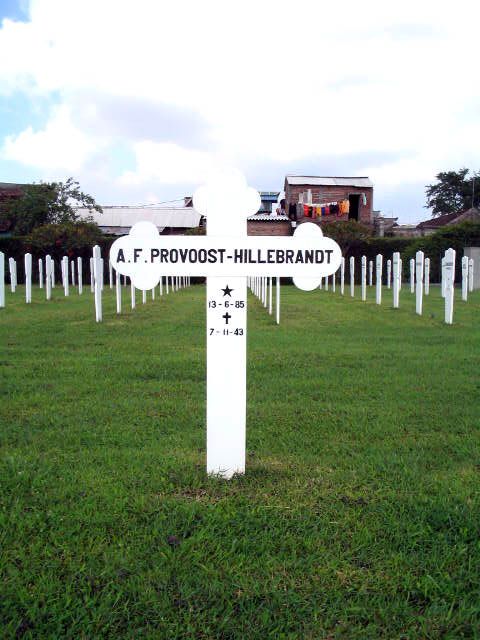 provoost.hillebrandt.a.f.2005.jpg
