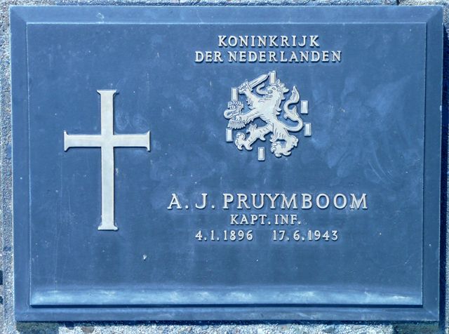 Pruymboom.A.J.2008.jpg