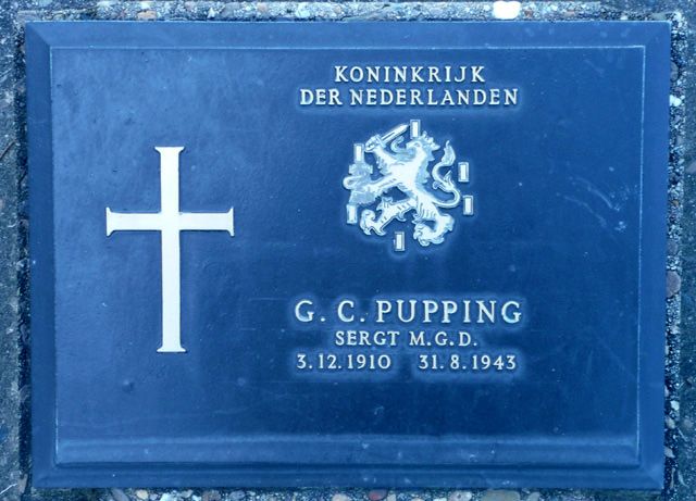 Pupping.G.C.2008.jpg
