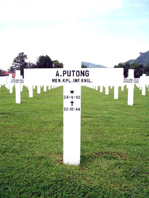 putong.a.2005.jpg