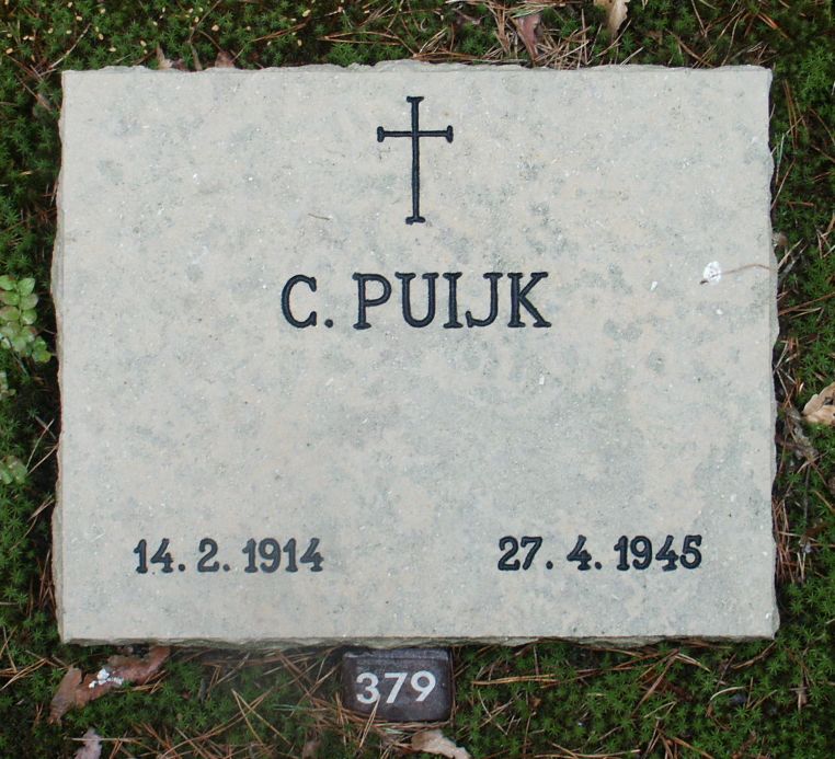 puijk.c.jpg