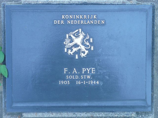 Pye.F.A.2008.jpg