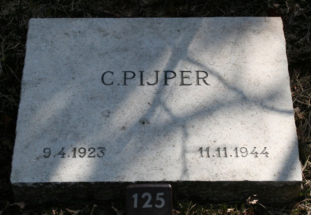 pijper.c.2009.jpg