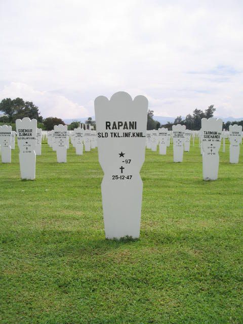 rapani.2005.jpg