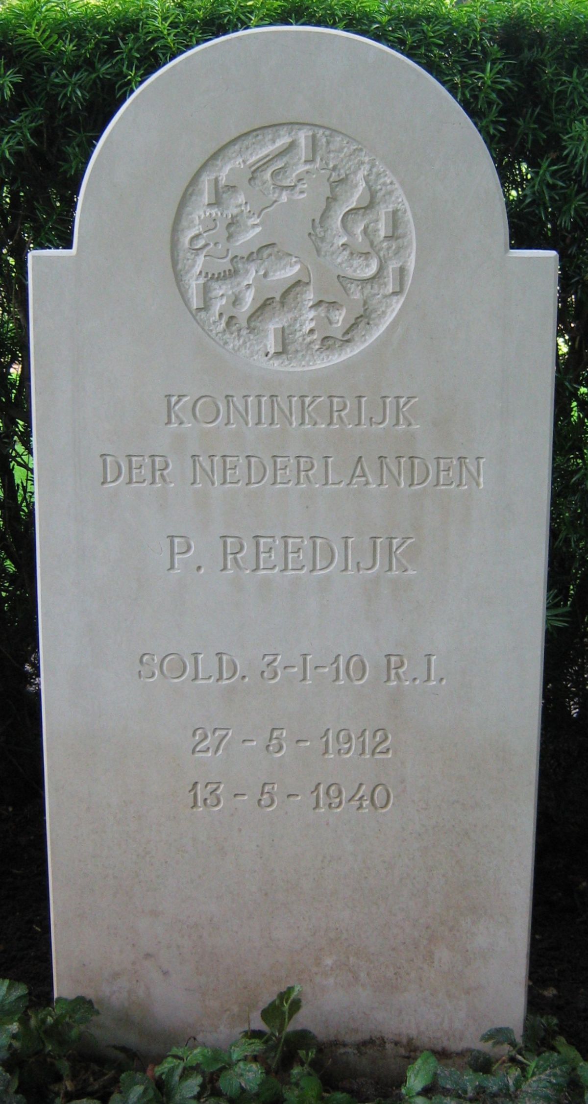 reedijk.p.2008.jpg