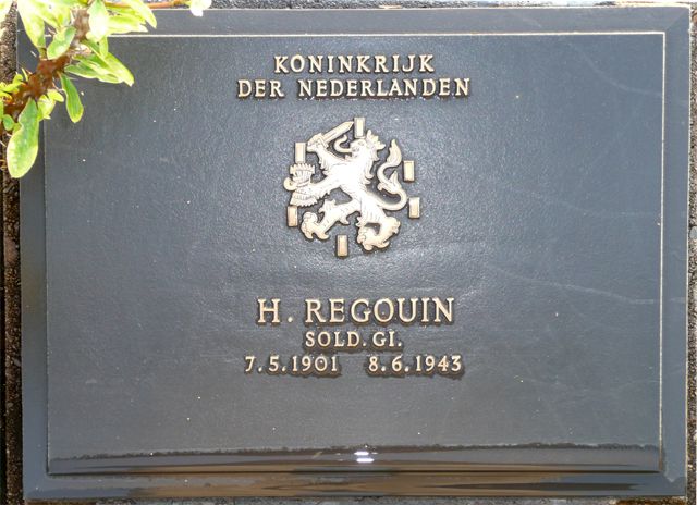 Regouin.H.2008.jpg