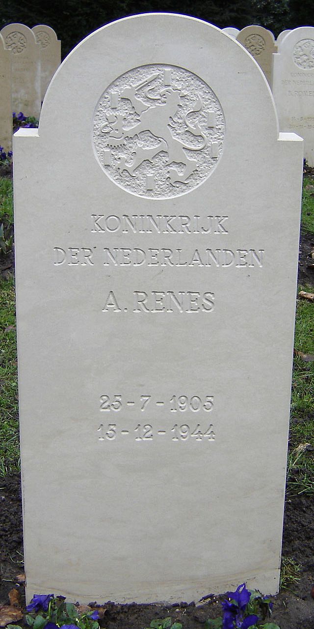 renes.a.2008.jpg