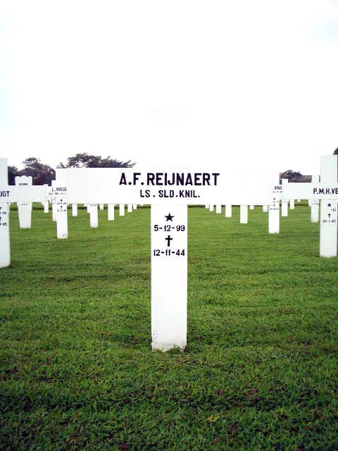 reijnaert.a.f.2005.jpg