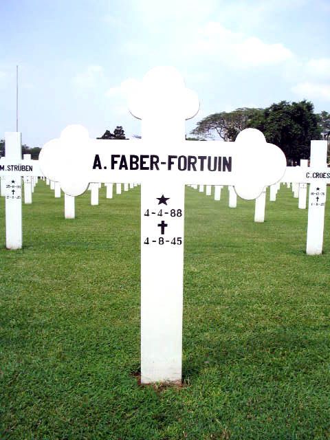 faber.fortuin.a.2005.jpg