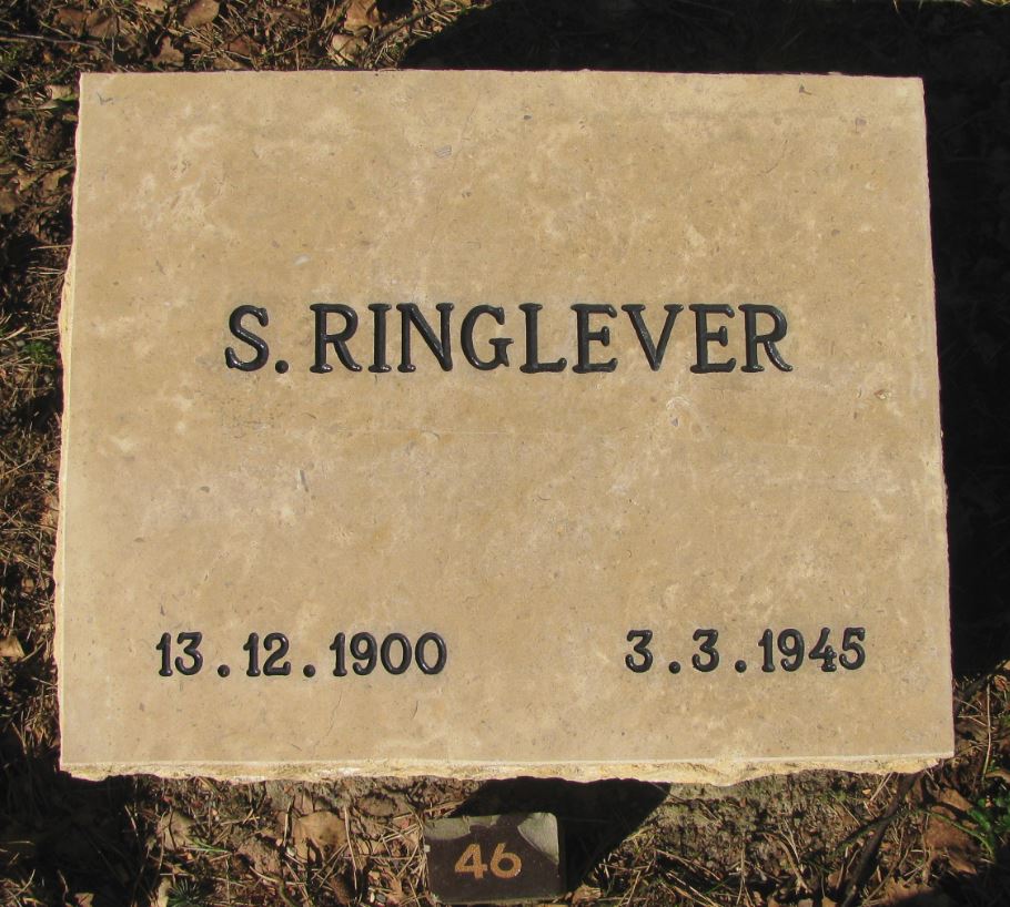 Ringlever.JPG