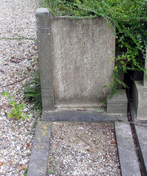 Rinses J 2004.jpg