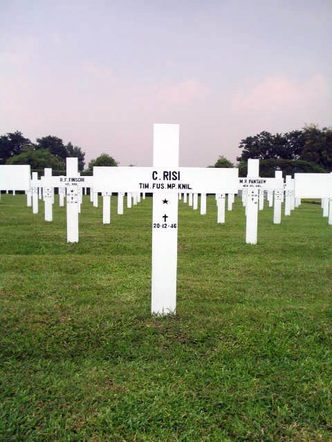 risi.c.2005.jpg