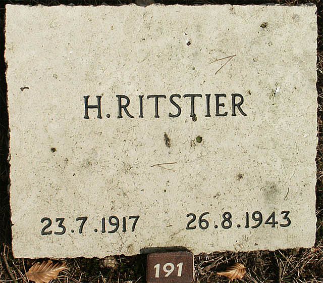 ritstier.h.2006.jpg