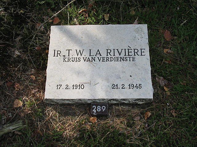 127597.jpg