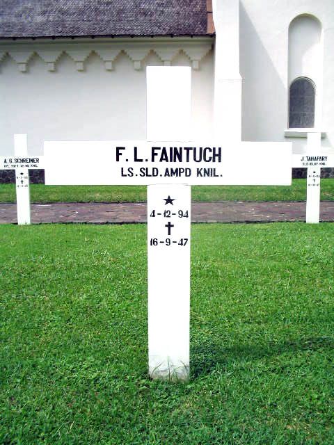 faintuch.f.l.2005.jpg