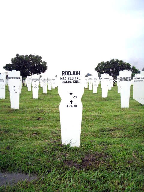 rodjoh.2005.jpg
