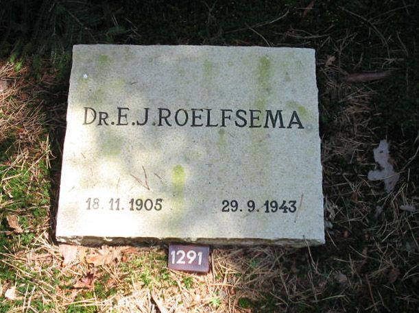 E.J.Roelfsema.jpg