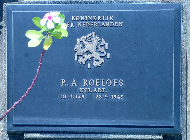 Roelofs.P.A.2008.jpg