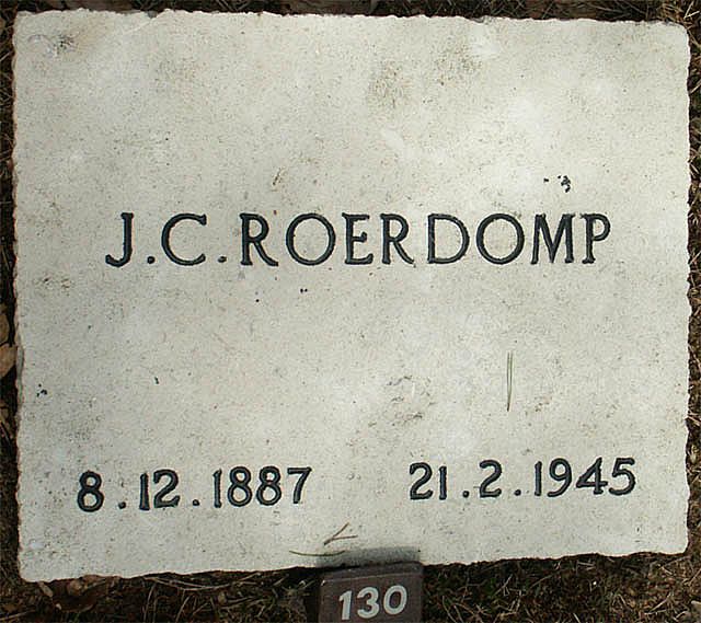 roerdomp.j.c.2006.jpg
