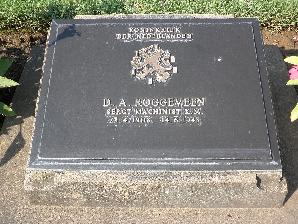roggeveen.d.a.2011.jpg