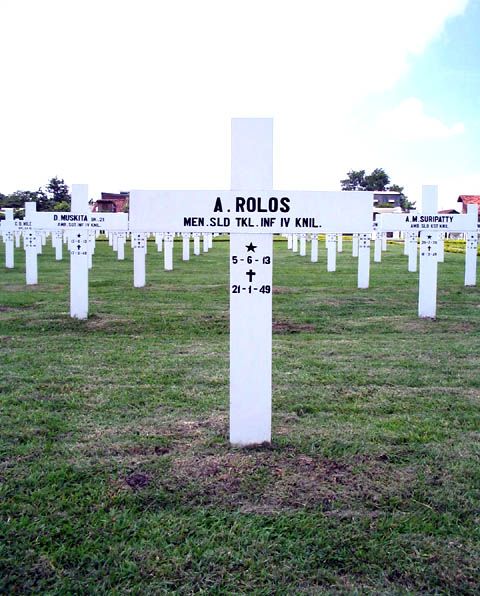 rolos.a.2005.jpg