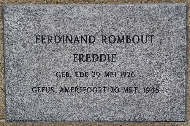 F.Rombout 2008.jpg